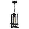 Quoizel Damien 1-Light Earth Black Outdoor Hanging Lantern DMN1907EK